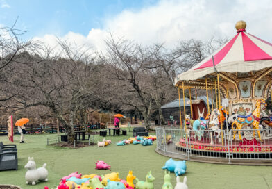 A Stunning Panorama of Japan’s Natural Wonder at Amanohashidate Viewland