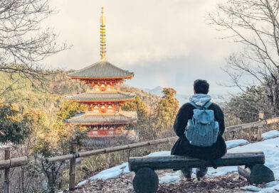 A Picture-Perfect Escape: Kasamatsu Park & Nariaiji Temple in Ichinomiya