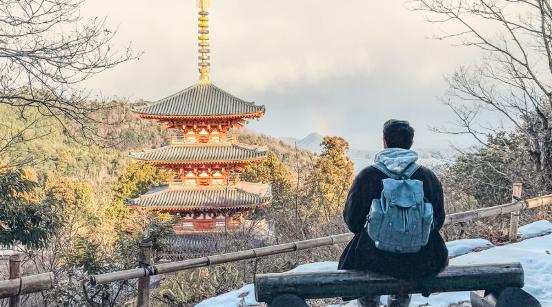 A Picture-Perfect Escape: Kasamatsu Park & Nariaiji Temple in Ichinomiya