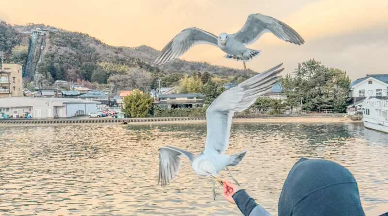 Sailing Through Scenic Japan: Ferry Ride from Amanohashidate to Ichinomiya and Vice Versa