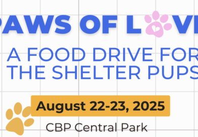 Paws of Love: A Two-Day Celebration for a Cause This International Dog Day